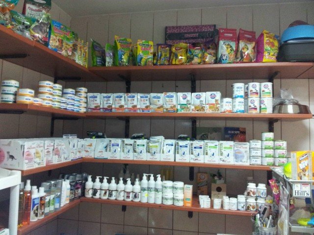 Alcor Vet - cabinet veterinar